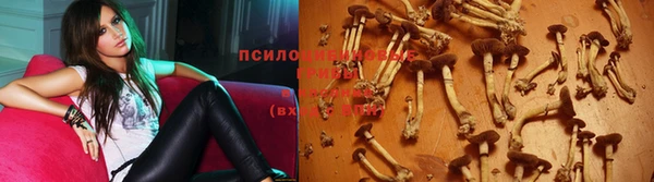 ешки Алексеевка