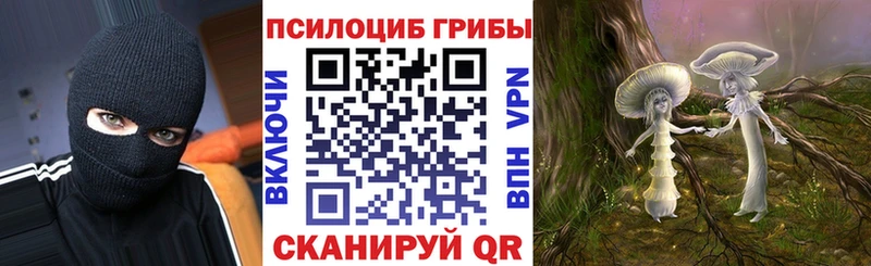 Псилоцибиновые грибы Cubensis магазин продажи Тосно